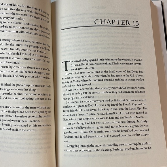 First Edition 2019 Brad Thor A Thriller Backlash hardcover book NYT Bestseller - Picture 10 of 16